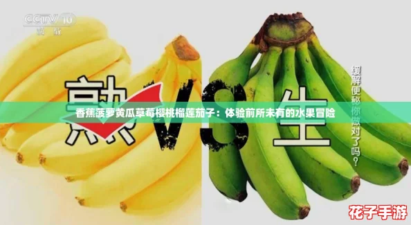 香蕉菠萝黄瓜草莓樱桃榴莲茄子：体验前所未有的水果冒险
