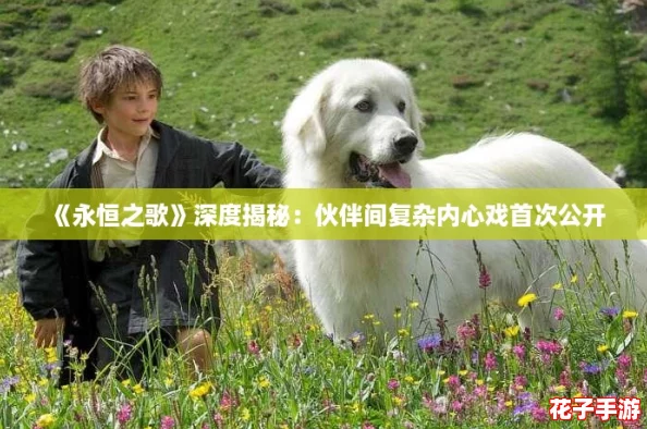 《永恒之歌》深度揭秘：伙伴间复杂内心戏首次公开