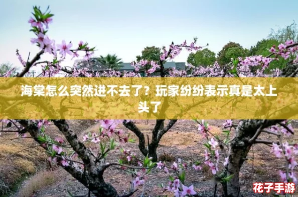 海棠怎么突然进不去了？玩家纷纷表示真是太上头了