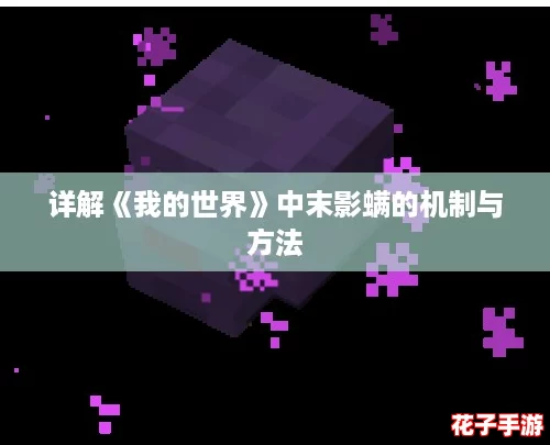详解《我的世界》中末影螨的机制与方法