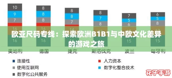 欧亚尺码专线：探索欧洲B1B1与中欧文化差异的游戏之旅