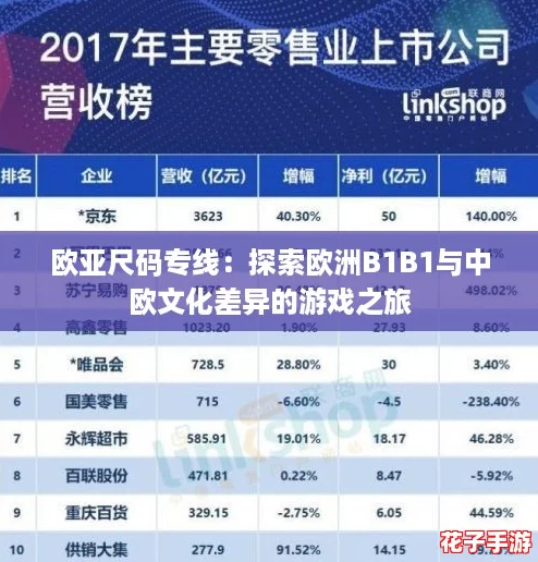 欧亚尺码专线：探索欧洲B1B1与中欧文化差异的游戏之旅