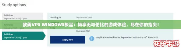 欧美VPS WINDOWS极品：畅享无与伦比的游戏体验，尽在你的指尖！