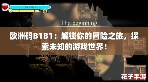 欧洲码B1B1：解锁你的冒险之旅，探索未知的游戏世界！
