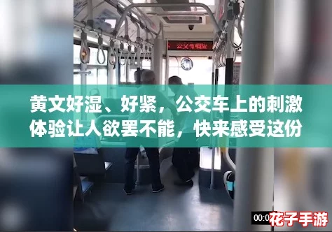 黄文好湿、好紧，公交车上的刺激体验让人欲罢不能，快来感受这份爽快！