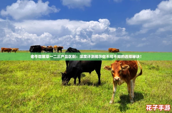 老牛吃嫩草一二三产品区别:深度评测揭示你不可不知的选择秘诀! 老牛吃嫩草一二三产品区别:深度评测揭示你不可不知的选择秘诀!