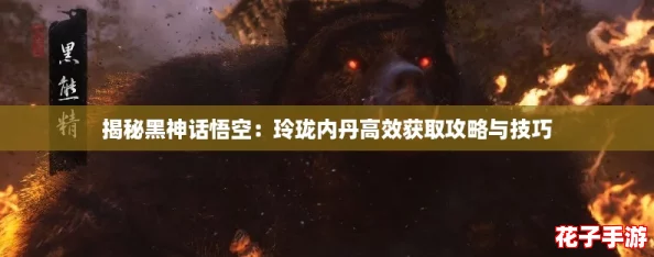 揭秘黑神话悟空：玲珑内丹高效获取攻略与技巧