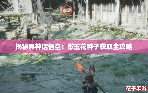 揭秘黑神话悟空：漱玉花种子获取全攻略