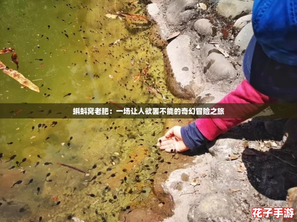 蝌蚪窝老肥：一场让人欲罢不能的奇幻冒险之旅