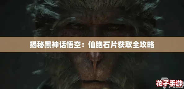 揭秘黑神话悟空：仙胞石片获取全攻略