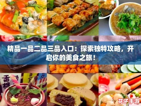 精品一品二品三品入口：探索独特攻略，开启你的美食之旅！
