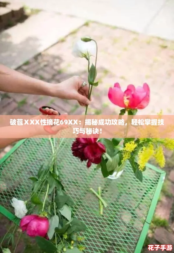 破苞ⅩXX性摘花69XX：揭秘成功攻略，轻松掌握技巧与秘诀！