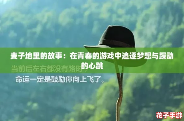 麦子地里的故事：在青春的游戏中追逐梦想与躁动的心跳