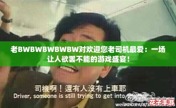 老BWBWBWBWBW对欢迎您老司机最爱：一场让人欲罢不能的游戏盛宴！
