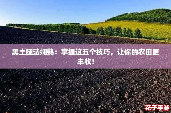 黑土腿法娴熟:掌握这五个技巧,让你的农田更丰收! 黑土腿法娴熟:掌握这五个技巧,让你的农田更丰收!