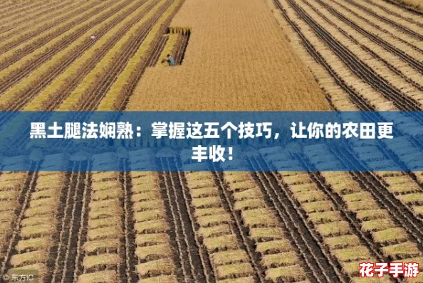 黑土腿法娴熟:掌握这五个技巧,让你的农田更丰收! 黑土腿法娴熟:掌握这五个技巧,让你的农田更丰收!