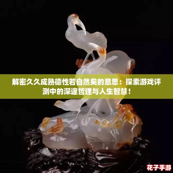 解密久久成熟德性若自然矣的意思：探索游戏评测中的深邃哲理与人生智慧！
