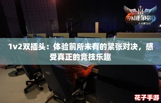 1v2双插头：体验前所未有的紧张对决，感受真正的竞技乐趣