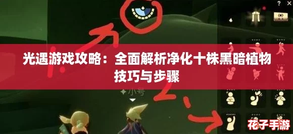 光遇游戏攻略：全面解析净化十株黑暗植物技巧与步骤