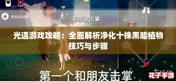 光遇游戏攻略：全面解析净化十株黑暗植物技巧与步骤