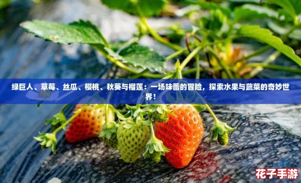 绿巨人、草莓、丝瓜、樱桃、秋葵与榴莲：一场味蕾的冒险，探索水果与蔬菜的奇妙世界！