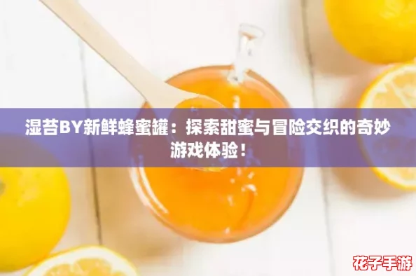 湿苔BY新鲜蜂蜜罐：探索甜蜜与冒险交织的奇妙游戏体验！