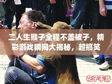 二人生猴子全程不盖被子,精彩游戏瞬间大揭秘,超搞笑图片大全等你来欣赏! 二人生猴子全程不盖被子,精彩游戏瞬间大揭秘,超搞笑图片大全等你来欣赏!
