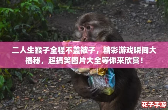 二人生猴子全程不盖被子,精彩游戏瞬间大揭秘,超搞笑图片大全等你来欣赏! 二人生猴子全程不盖被子,精彩游戏瞬间大揭秘,超搞笑图片大全等你来欣赏!