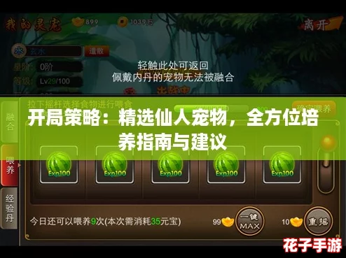 开局策略:精选仙人宠物,全方位培养指南与建议 开局策略:精选仙人宠物,全方位培养指南与建议