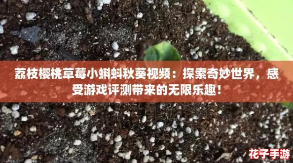 荔枝樱桃草莓小蝌蚪秋葵视频：探索奇妙世界，感受游戏评测带来的无限乐趣！