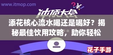添花核心流水喝还是喝好？揭秘最佳饮用攻略，助你轻松提升游戏体验！