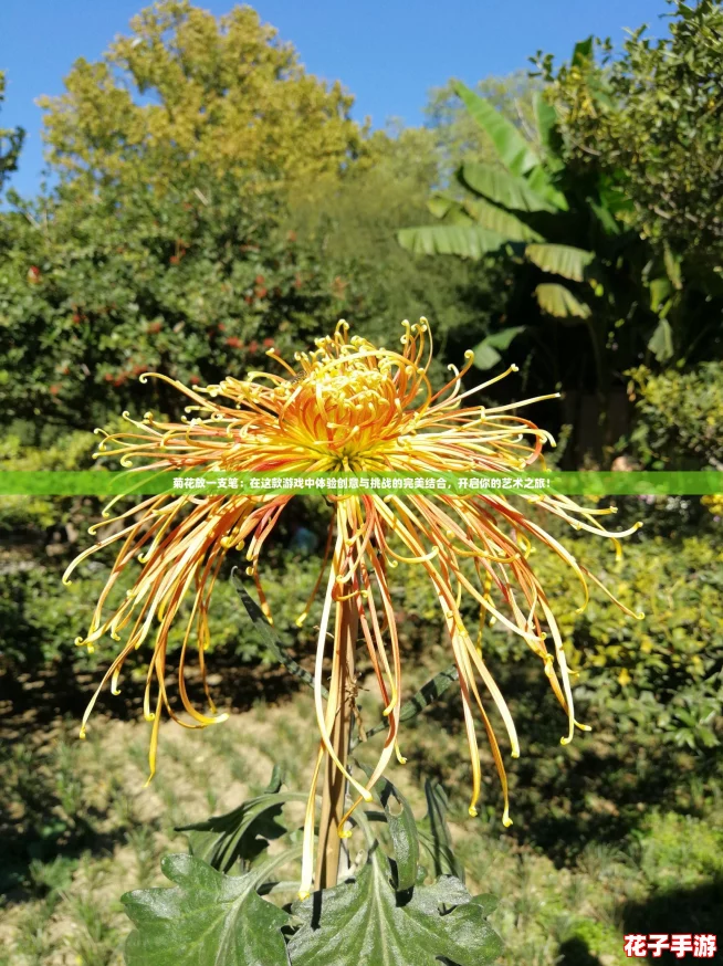 菊花放一支笔：在这款游戏中体验创意与挑战的完美结合，开启你的艺术之旅！