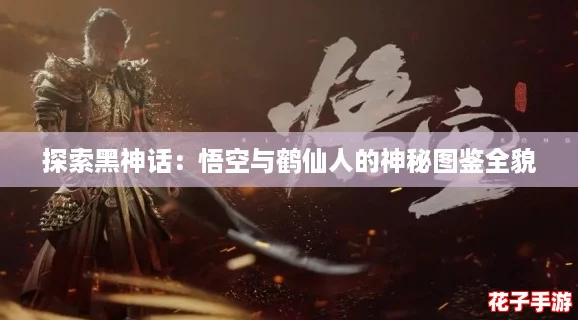 探索黑神话：悟空与鹤仙人的神秘图鉴全貌