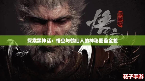 探索黑神话：悟空与鹤仙人的神秘图鉴全貌