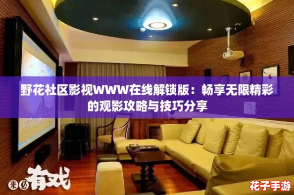 野花社区影视WWW在线解锁版：畅享无限精彩的观影攻略与技巧分享