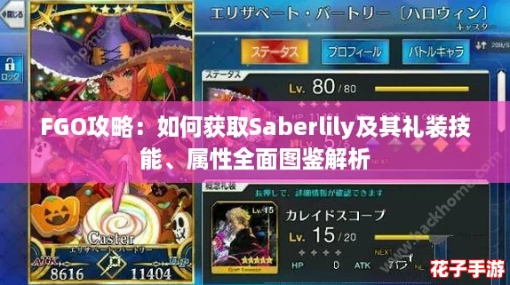 FGO攻略：如何获取Saberlily及其礼装技能、属性全面图鉴解析