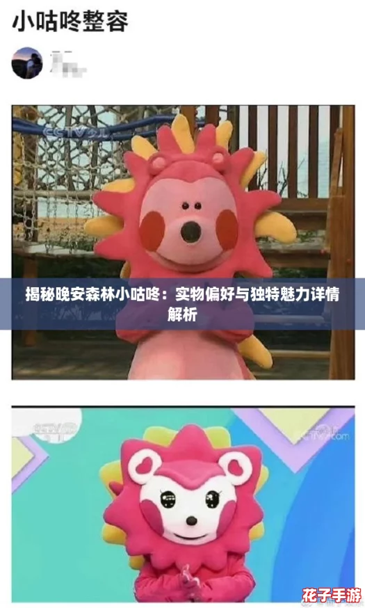 揭秘晚安森林小咕咚：实物偏好与独特魅力详情解析