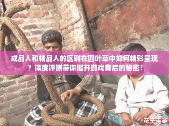成品人和精品人的区别在四叶草中如何精彩呈现？深度评测带你揭开游戏背后的秘密！