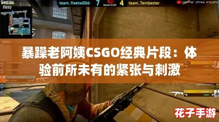 暴躁老阿姨CSGO经典片段：体验前所未有的紧张与刺激