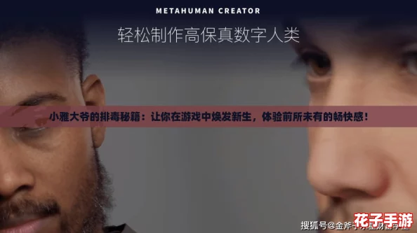 小雅大爷的排毒秘籍：让你在游戏中焕发新生，体验前所未有的畅快感！