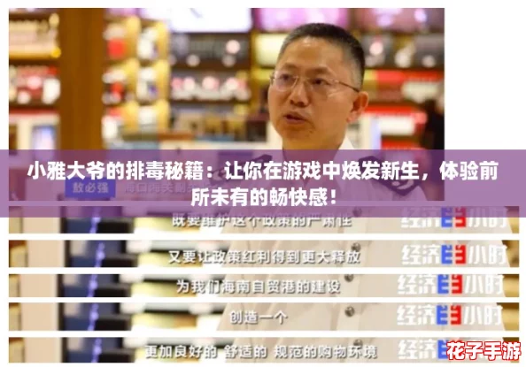 小雅大爷的排毒秘籍:让你在游戏中焕发新生,体验前所未有的畅快感! 小雅大爷的排毒秘籍:让你在游戏中焕发新生,体验前所未有的畅快感!