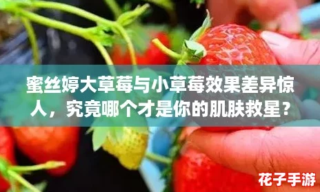 蜜丝婷大草莓与小草莓效果差异惊人，究竟哪个才是你的肌肤救星？