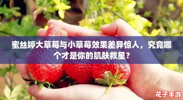 蜜丝婷大草莓与小草莓效果差异惊人,究竟哪个才是你的肌肤救星? 蜜丝婷大草莓与小草莓效果差异惊人,究竟哪个才是你的肌肤救星?