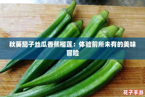 秋葵茄子丝瓜香蕉榴莲：体验前所未有的美味冒险