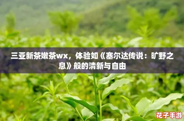 三亚新茶嫩茶wx，体验如《塞尔达传说：旷野之息》般的清新与自由