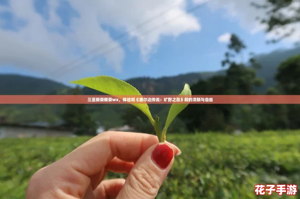 三亚新茶嫩茶wx,体验如《塞尔达传说:旷野之息》般的清新与自由 三亚新茶嫩茶wx,体验如《塞尔达传说:旷野之息》般的清新与自由