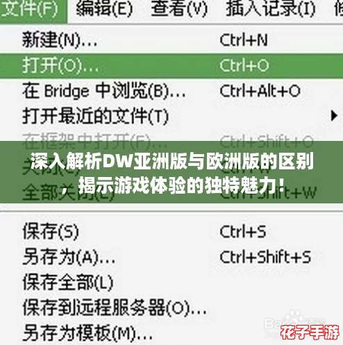 深入解析DW亚洲版与欧洲版的区别，揭示游戏体验的独特魅力！