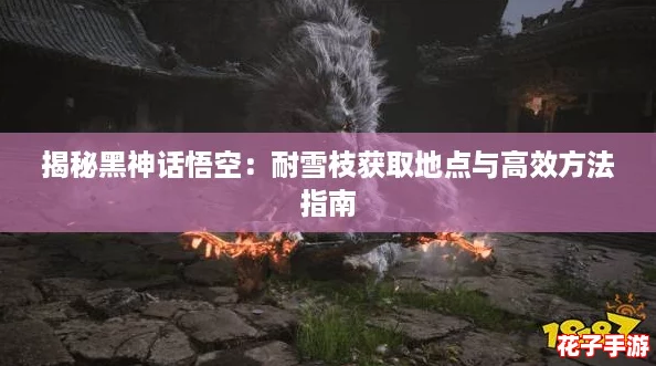 揭秘黑神话悟空：耐雪枝获取地点与高效方法指南