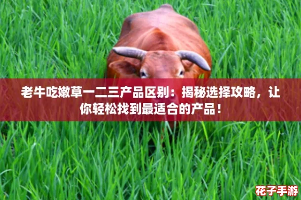 老牛吃嫩草一二三产品区别：揭秘选择攻略，让你轻松找到最适合的产品！