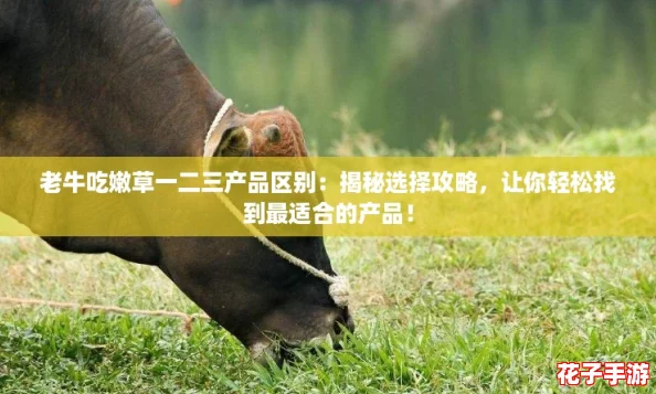 老牛吃嫩草一二三产品区别:揭秘选择攻略,让你轻松找到最适合的产品! 老牛吃嫩草一二三产品区别:揭秘选择攻略,让你轻松找到最适合的产品!